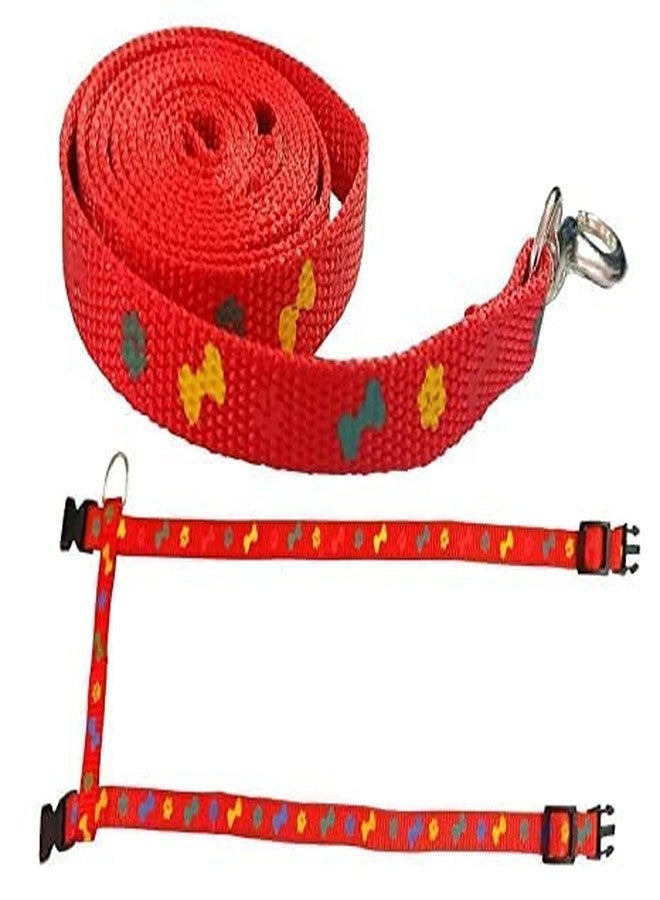 KittuPet طوق قطط KittuPet مع ربطة عنق وجرس، قطعة واحدة، طقم حزام ومقود من النايلون بنقشة مخلب وعظمة، قابل للتعديل 10 مم، مناسب للجراء والقطط الصغيرة أو بعض أنواع الجراء، عبوة من قطعتين (قد يختلف اللون) - Image 3